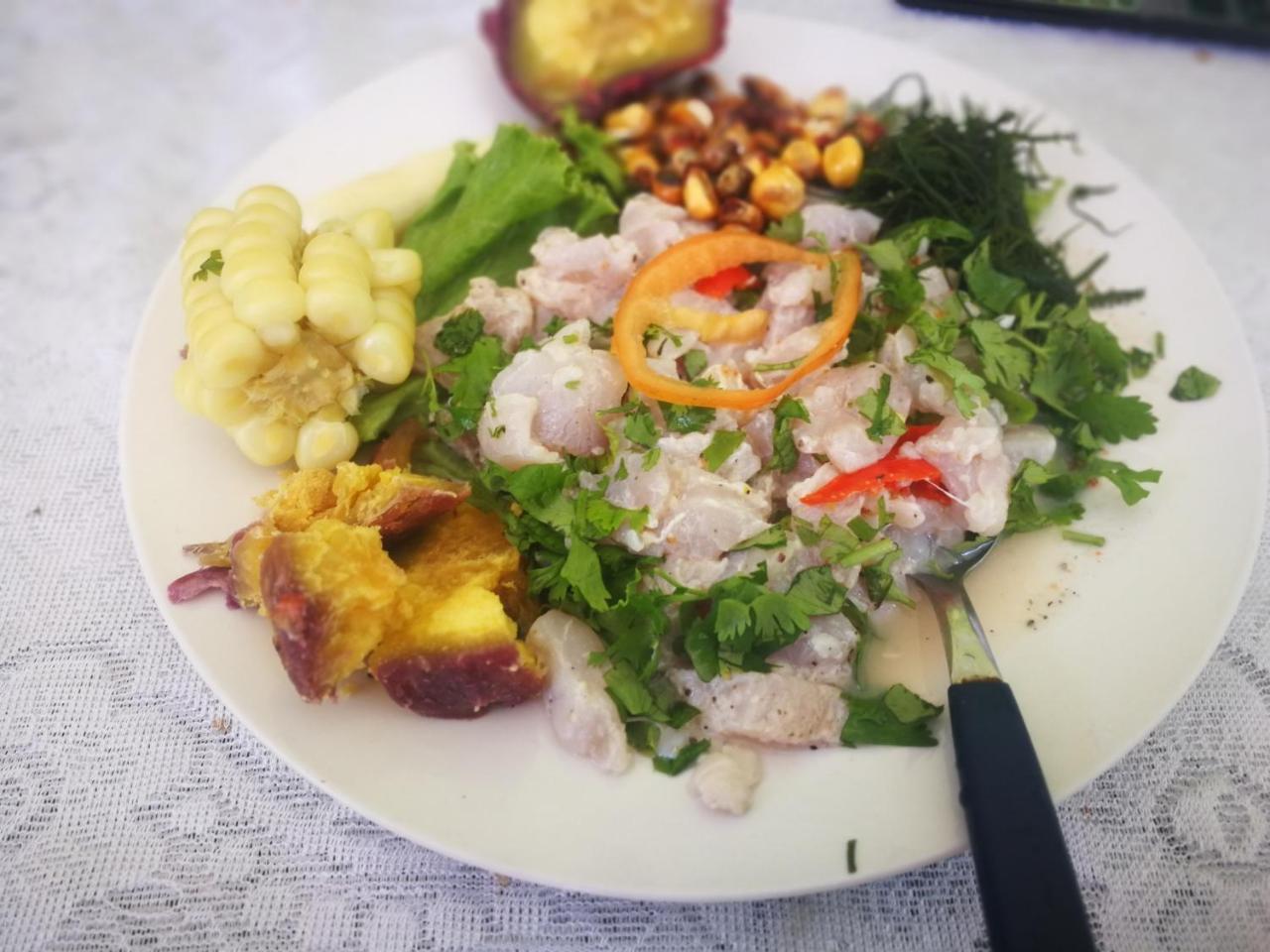 万查科 Urcia Surf House旅舍 外观 照片